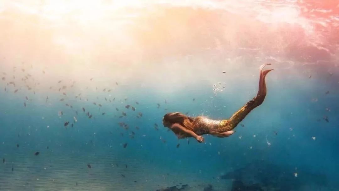 小模特招募 |让美人鱼在t台"上岸",er xi儿戏"斗鱼" x 上海时装周