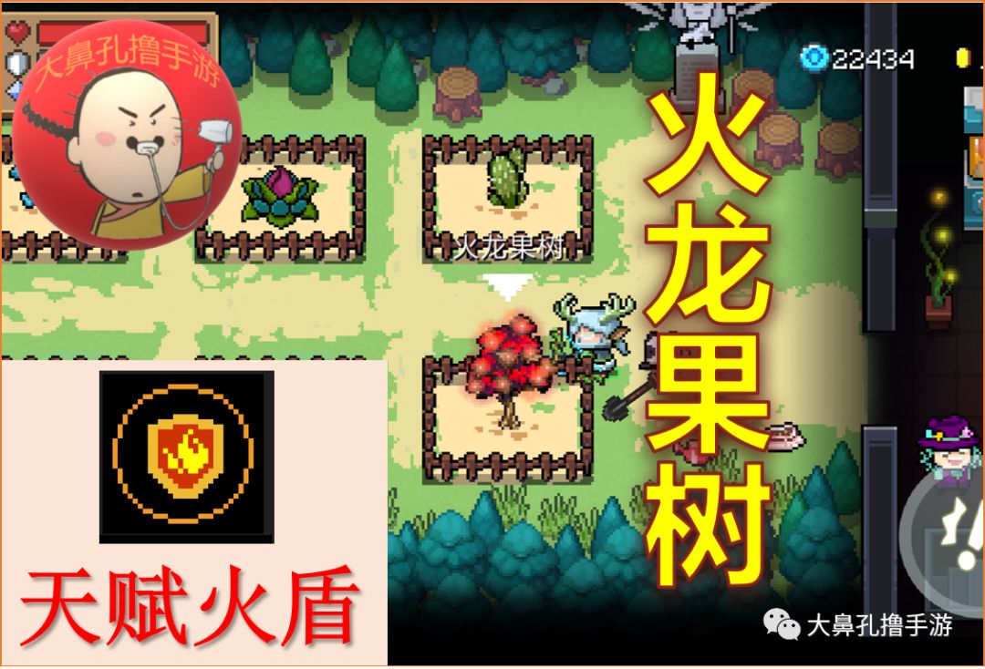 原创元气骑士:最新26颗元气种子介绍 花园植物全收录!