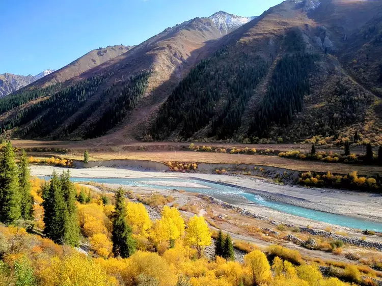 原创金秋九月的唐布拉草原宛如被打翻的调色板变成醉美秋日画卷