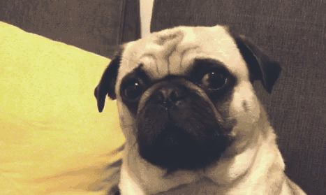 467_279gif 动态图 动图