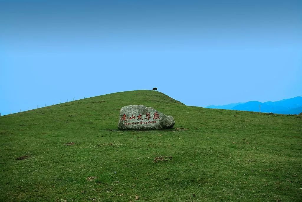 城步南山花的图片