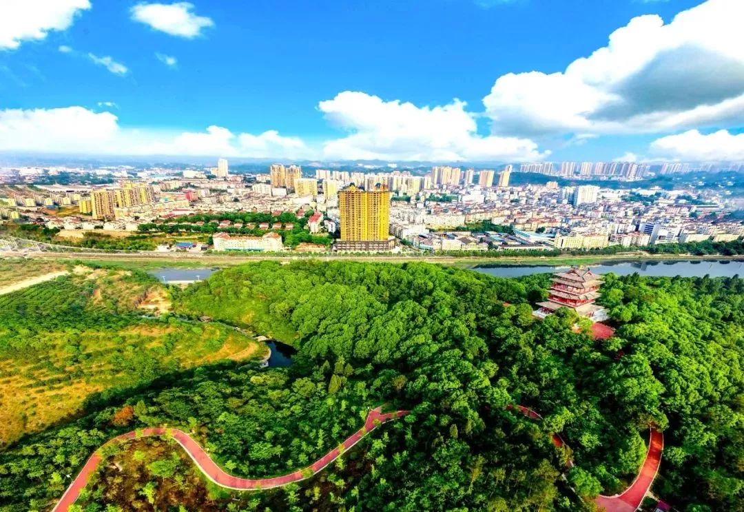 这就是夷陵政协