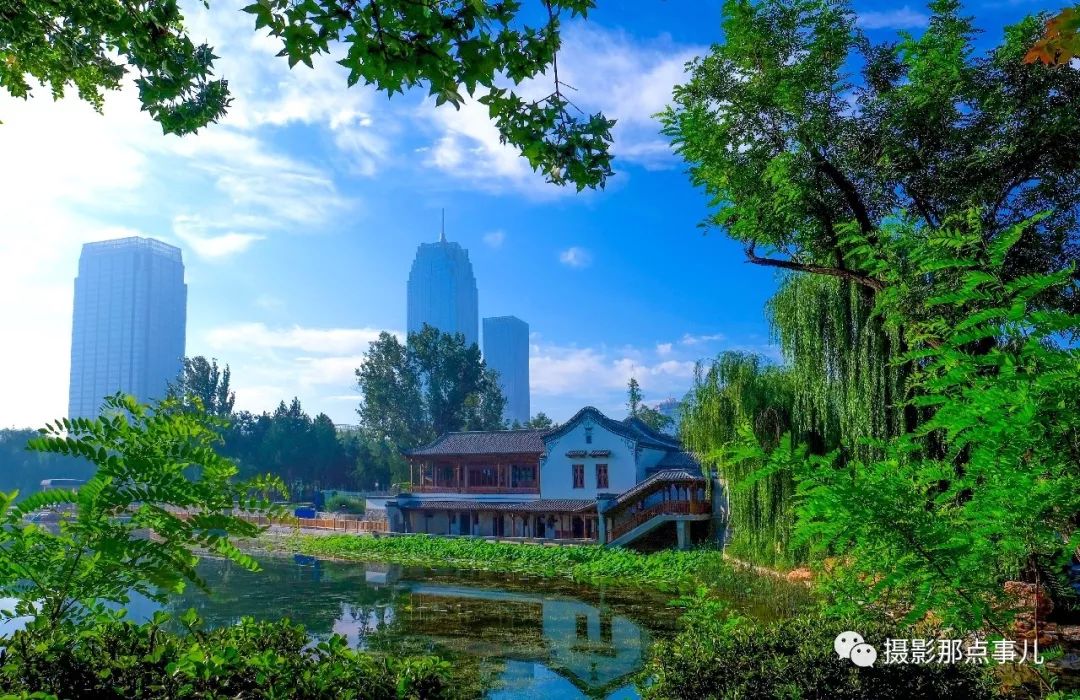 绿美古城竞秀保定摄影大赛入选作品公示3