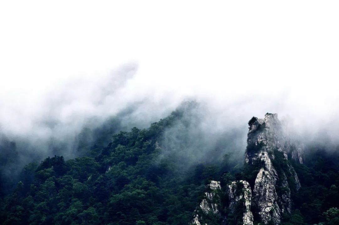 世人都說,每個人的心裡都有兩座終南山一座是有形的,它是風景,景色