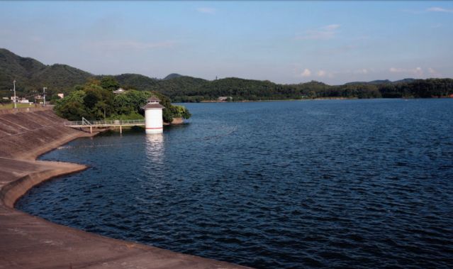 同沙生態公園 東莞時報資料圖 陳棟 攝