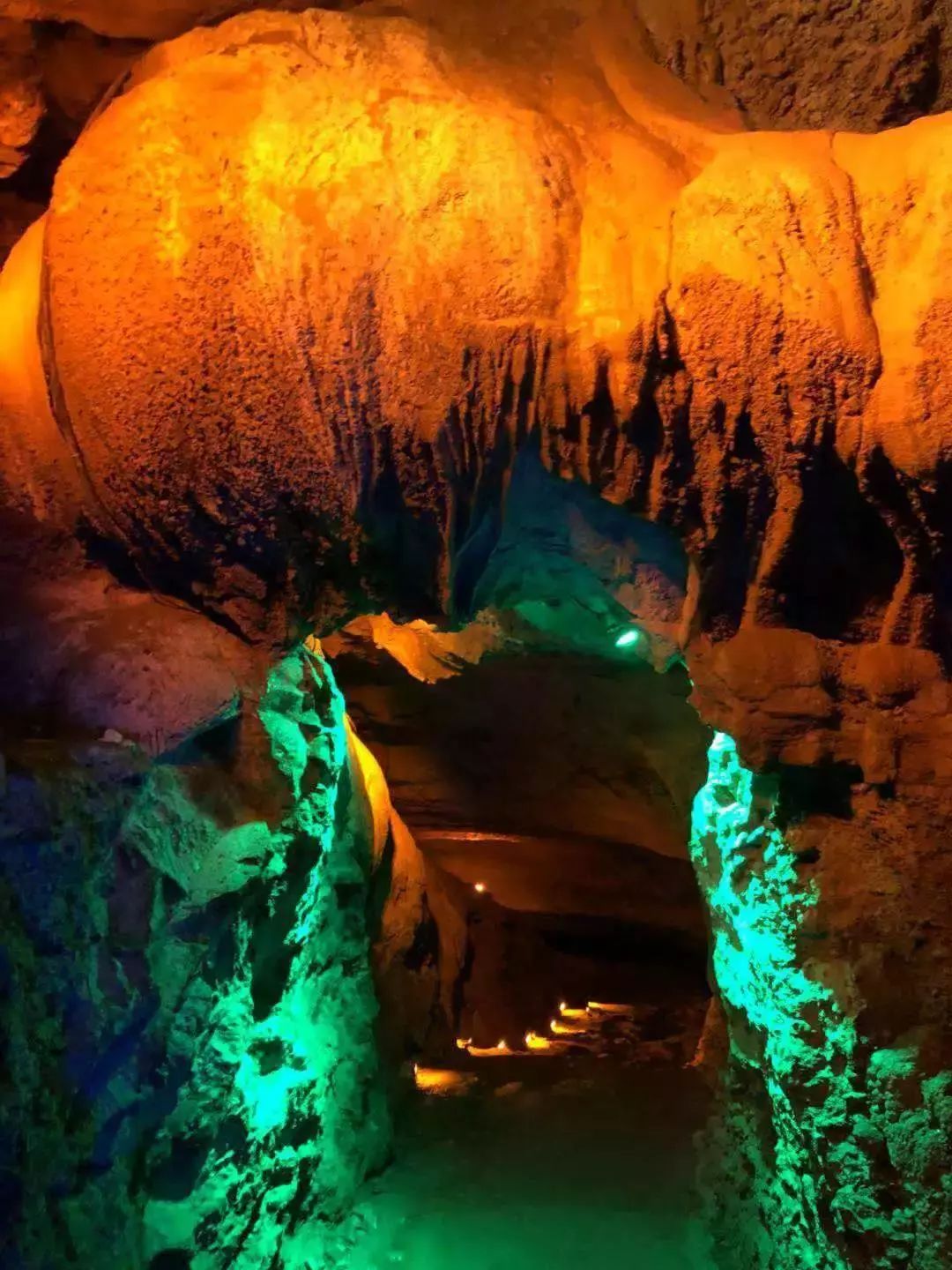 狼来了景德镇诸仙洞野生动物园又添新成员票价低至0元