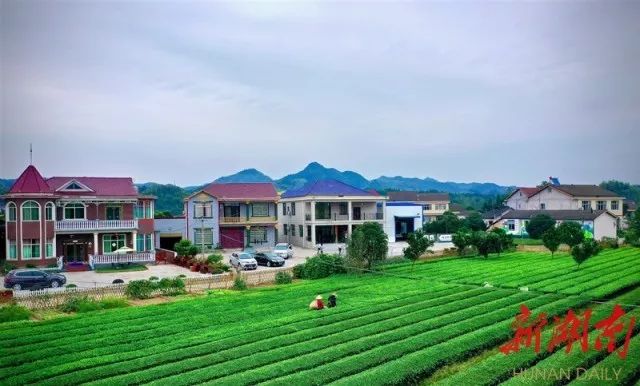 湖南日报推介常德市推进乡村振兴战略_新农村