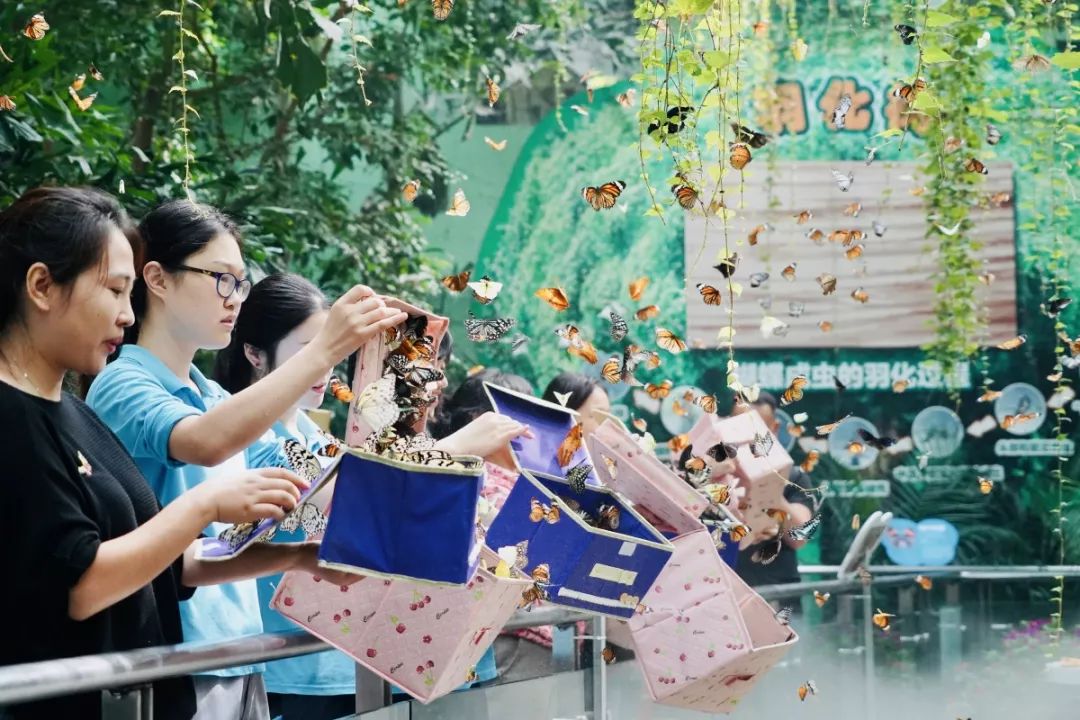 蝶舞申城迎国庆上海动物园第七届蝴蝶展928盛大开幕
