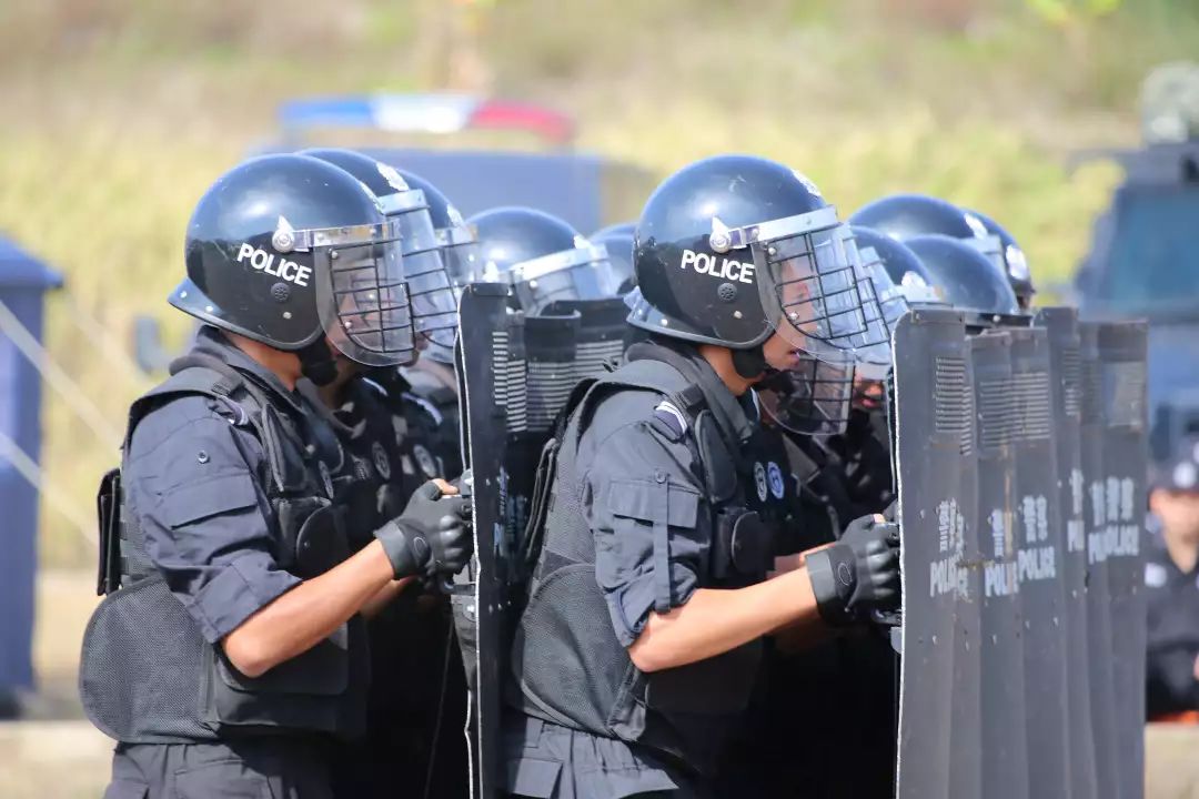 特警最酷壁纸图片