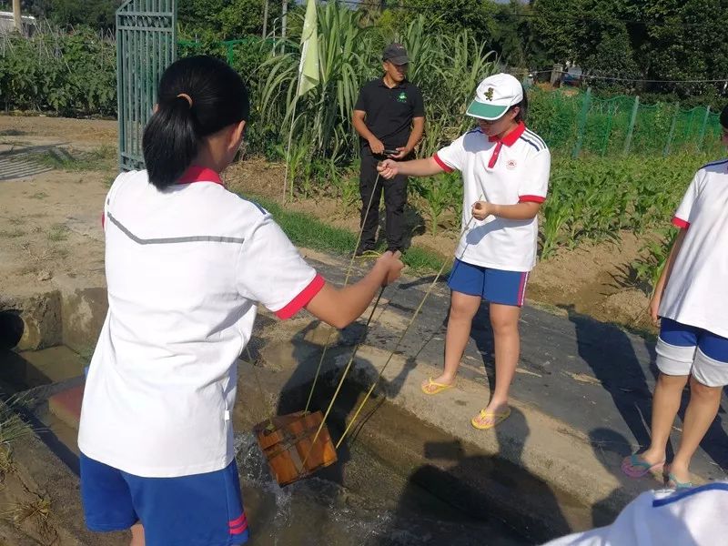 竹坝游记厦门一中初二年段社会实践活动