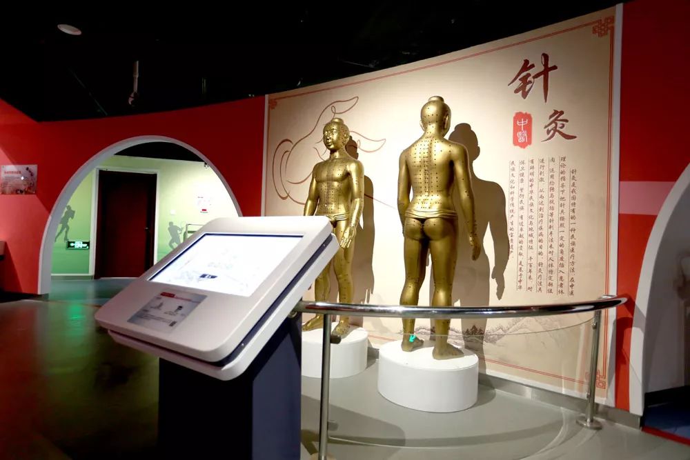 中华瑰宝--针灸_穴位