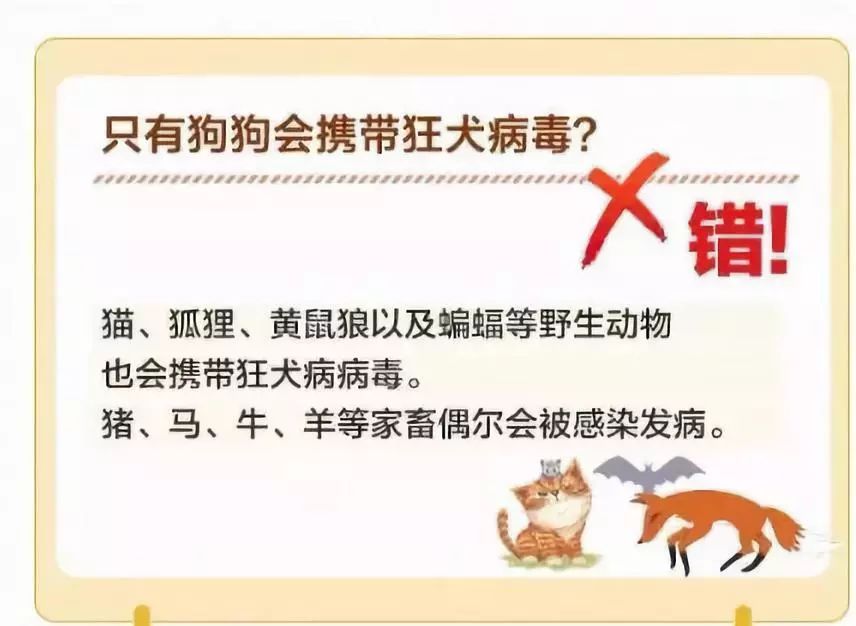 一,哪些動物傳播狂犬病?