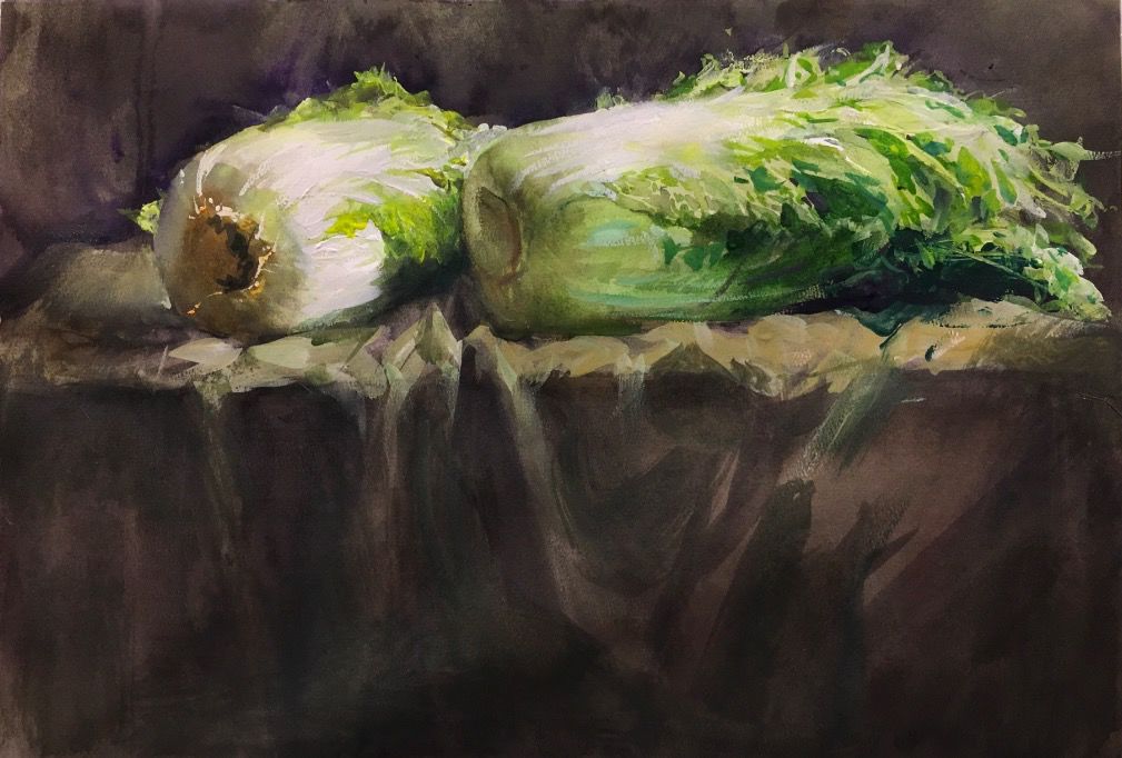 首届东北风全国水彩静物技法研学顺利结束