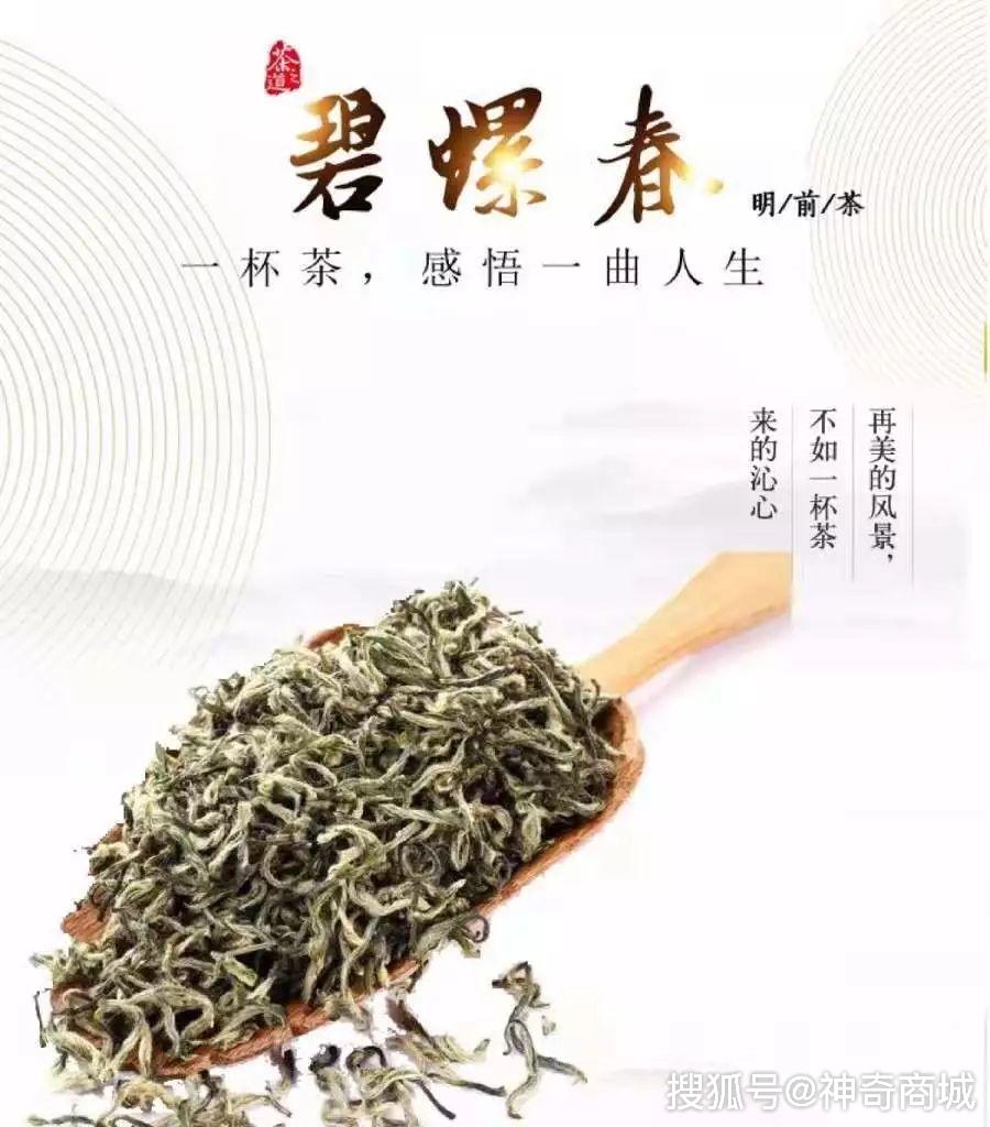 舌尖上的名茶洞庭湖碧螺春