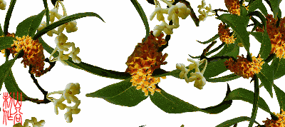 400_178gif 动态图 动图