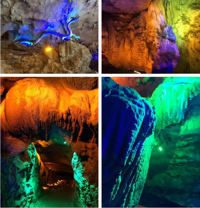 狼来了景德镇诸仙洞野生动物园又添新成员票价低至0元