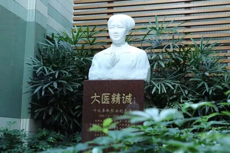 致敬最美奋斗者白衣战士叶欣铸大医精诚精神坐标