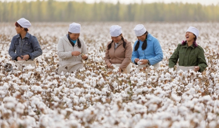 2019新疆棉花产业发展论坛开幕全棉时代应邀出席