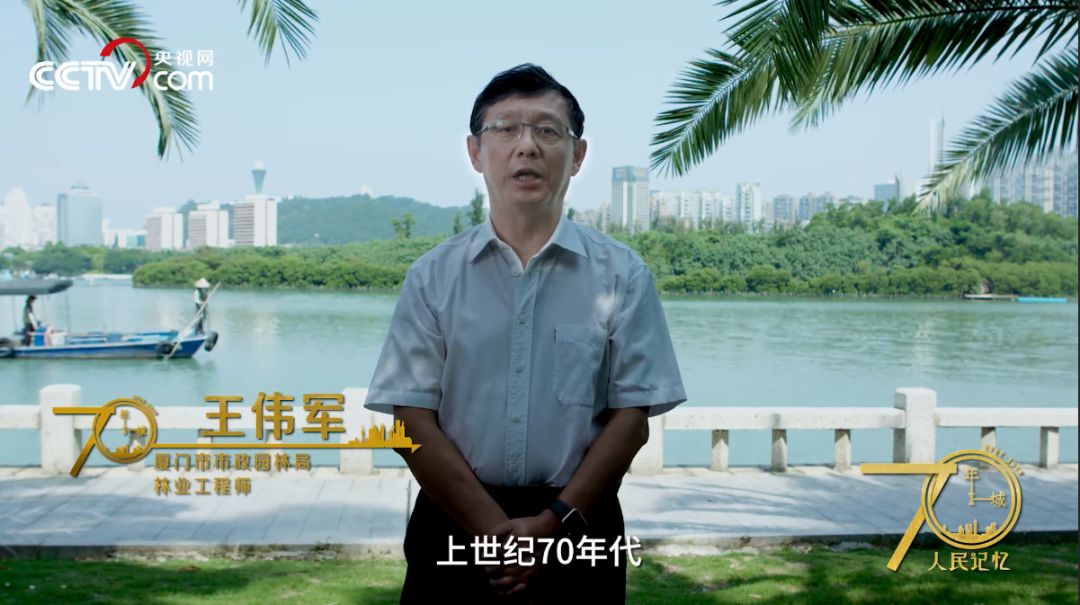 他是陈树林