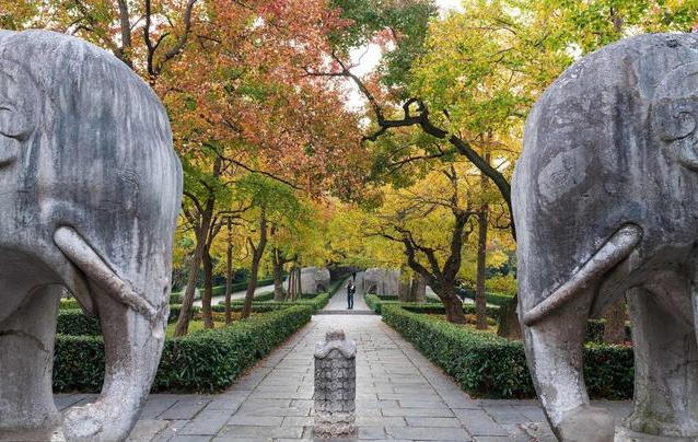 南京景点打卡:中山陵宏伟壮观,栖霞山枫叶正红,美不胜收!