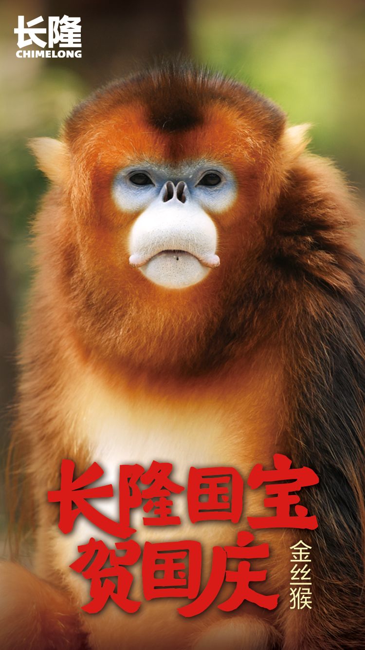五大国宝来贺喜丨长隆再创繁育奇迹珍稀动物首次联展