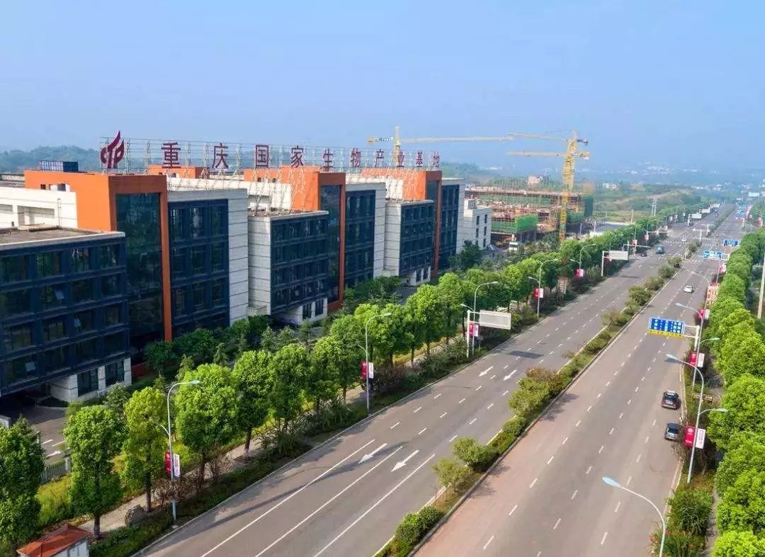 壮丽70年奋斗新时代丨厚植沃土高新速度再提速