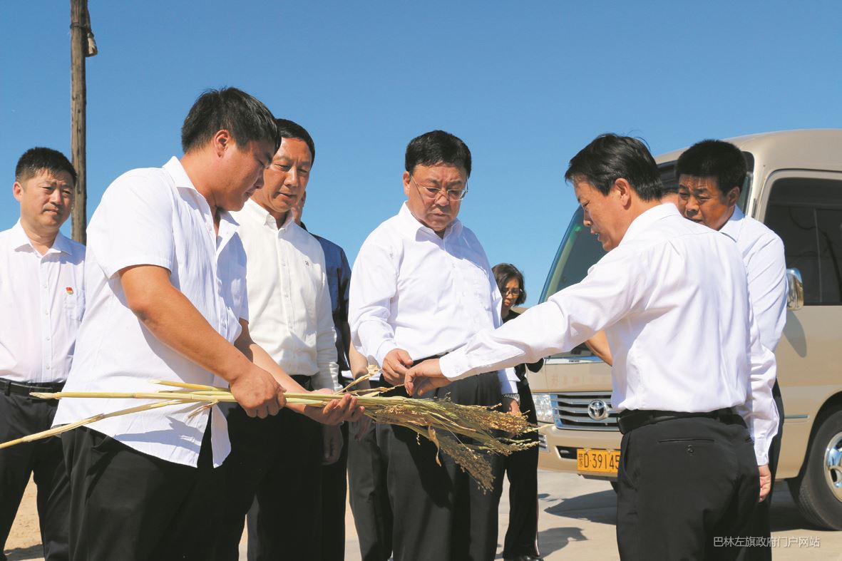 自治区党委常委常务副主席马学军来我旗调研