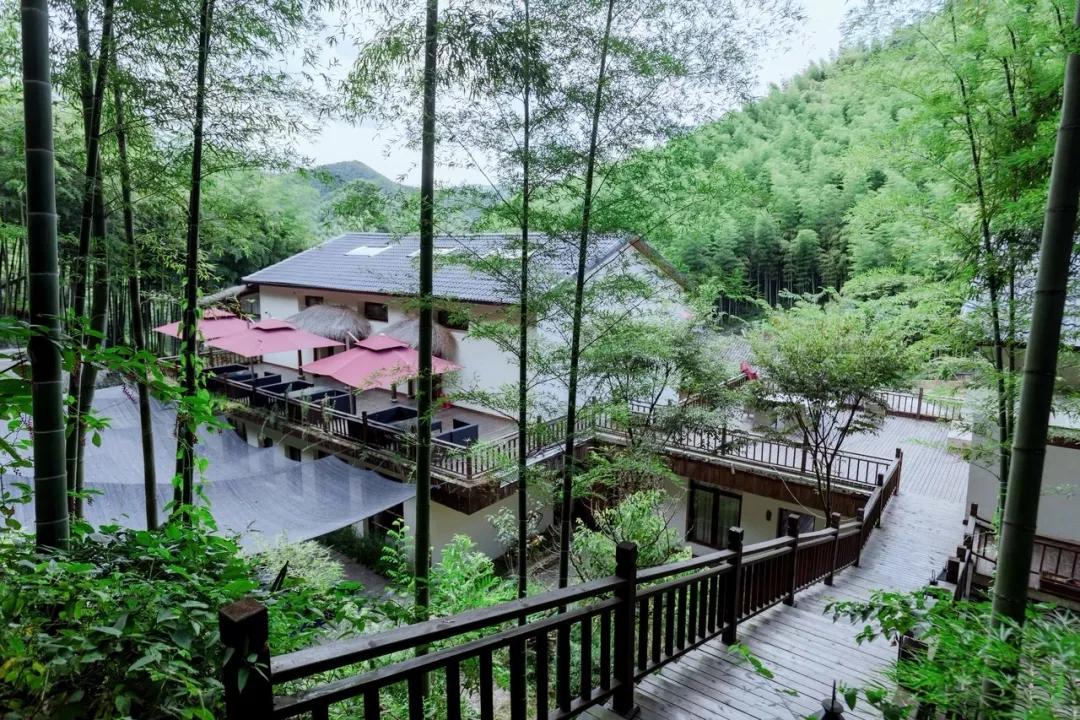 住莫干山loft星空屋丨享高颜值庭院&竹林仙境,静享两日山中小时光