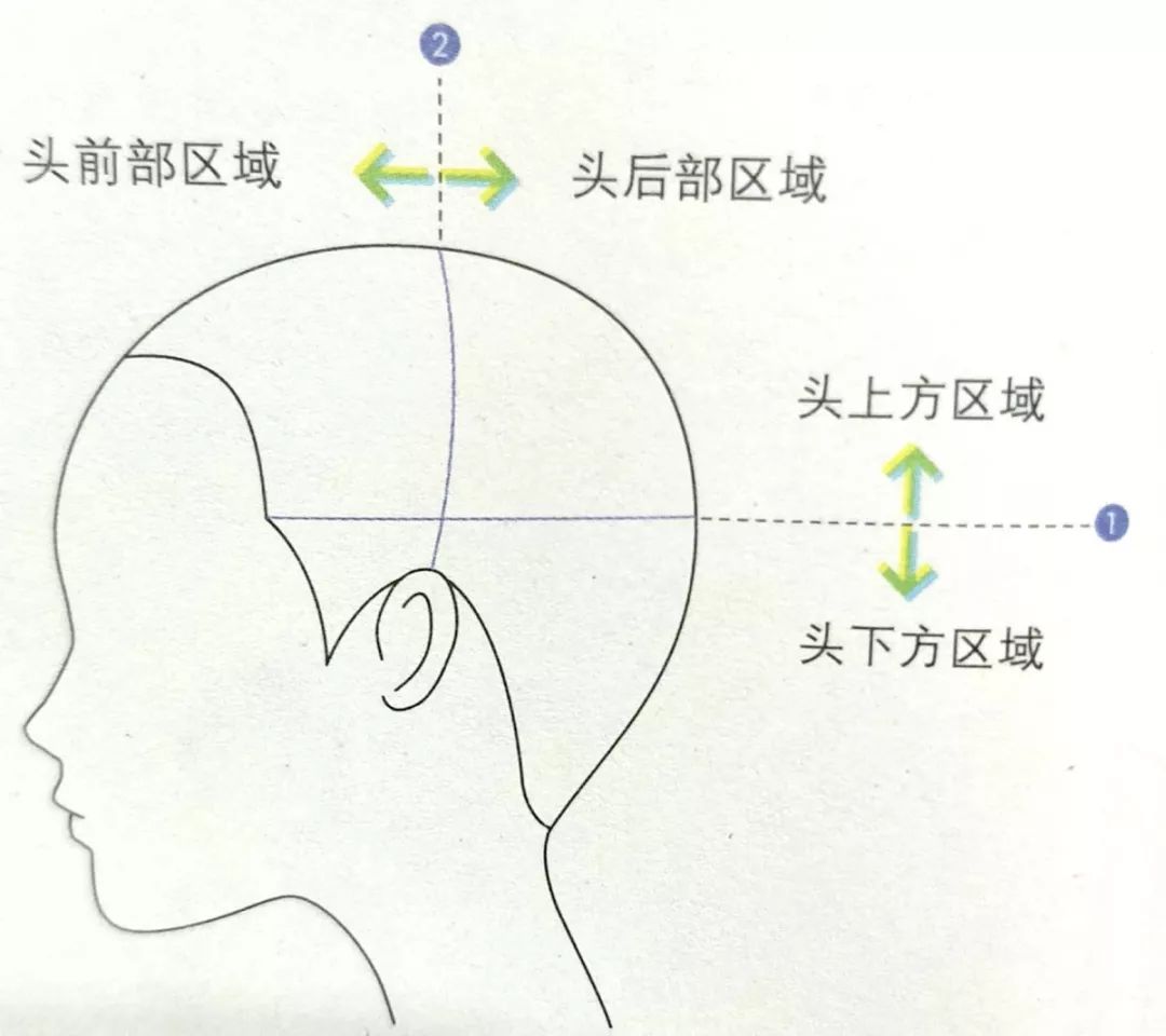 针对烫发的修剪技术——头部5个分区(上)