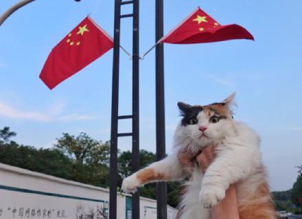 秀照片拿大奖:给我康康#你镜头里最美的国旗#哇