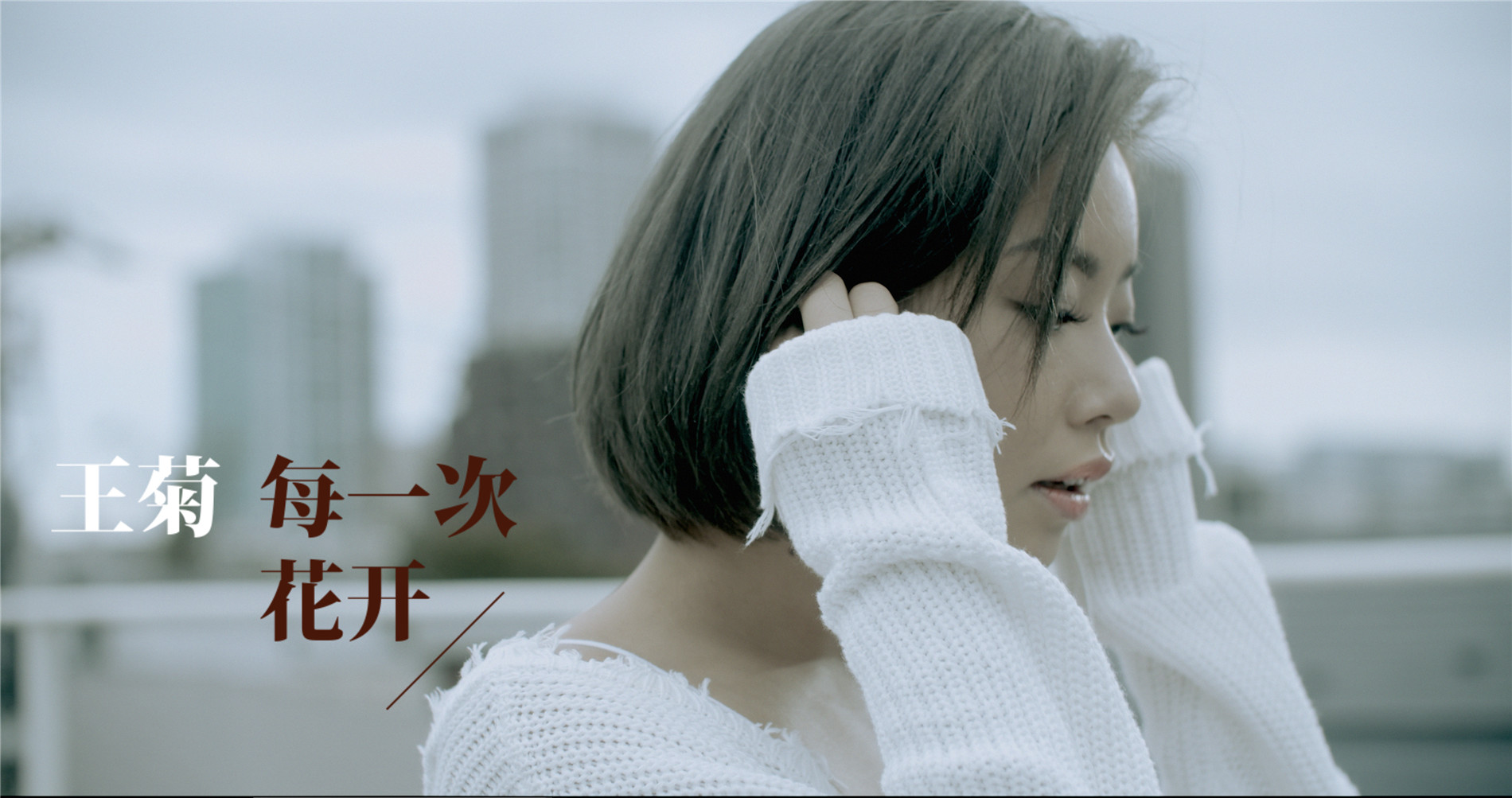 王菊专辑新歌《每一次花开》mv上线 化身小助理复盘成长经历