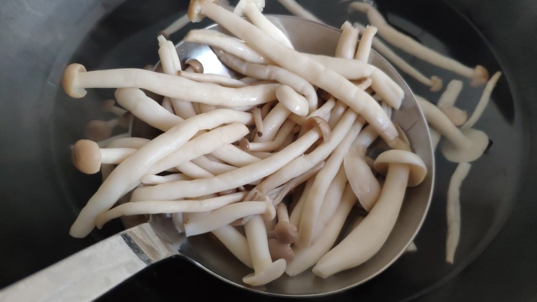 快手菜丨让你从此爱上耗油的蚝油鸡丝双菇简单美味营养高