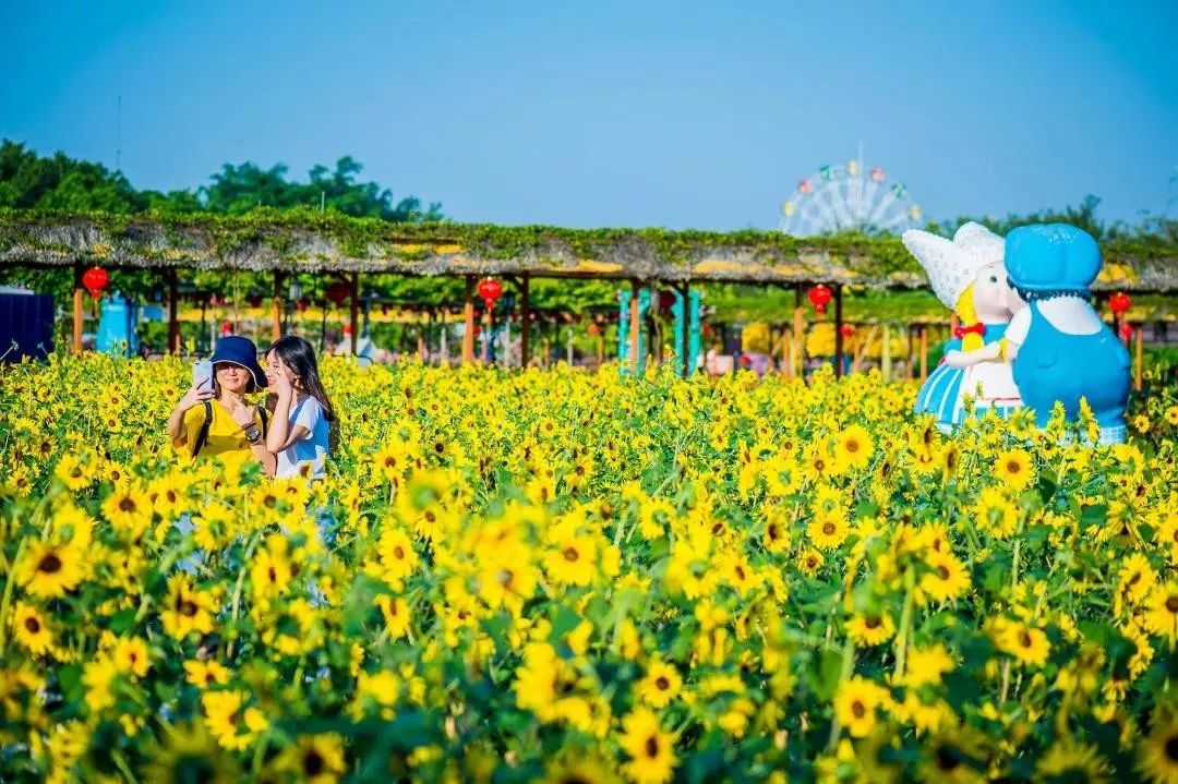 刷爆抖音的景點就在佛山!百畝花海,機動世界,5d玻璃橋.黃金週有著落!