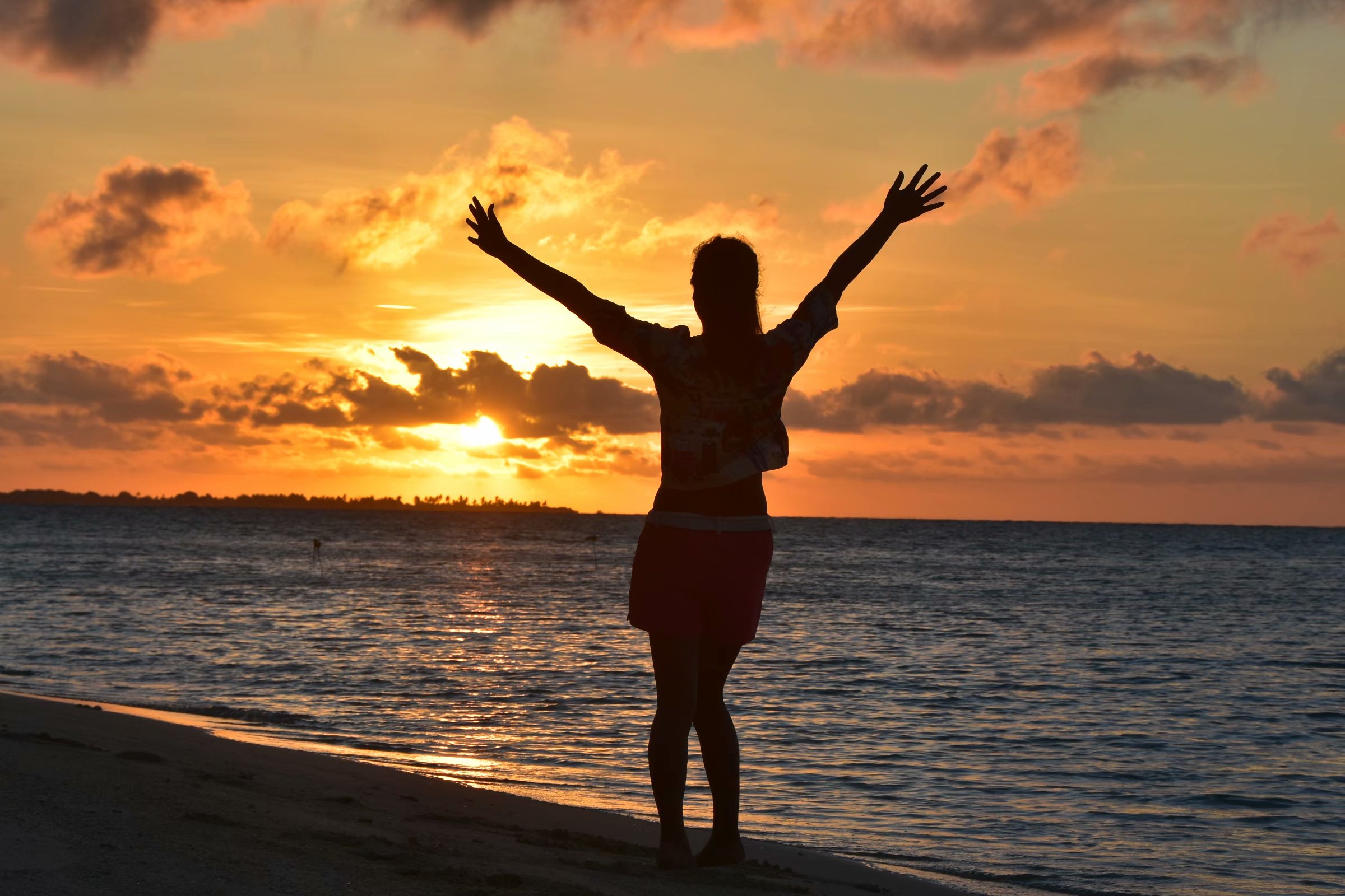 努力 自信 梦想-世界知名大学校训_同学