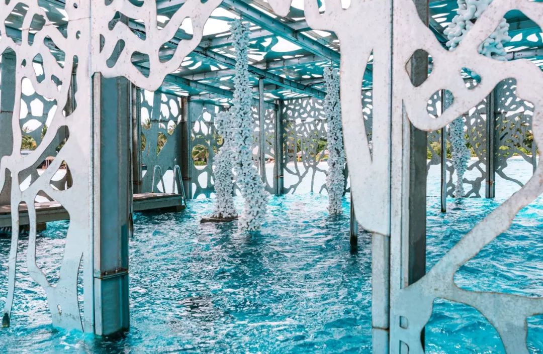 全新水下艺术装置于马尔代夫斯茹芬富士岛费尔蒙酒店面世