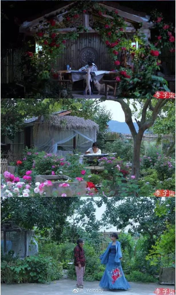 李子柒家的院子真实图图片
