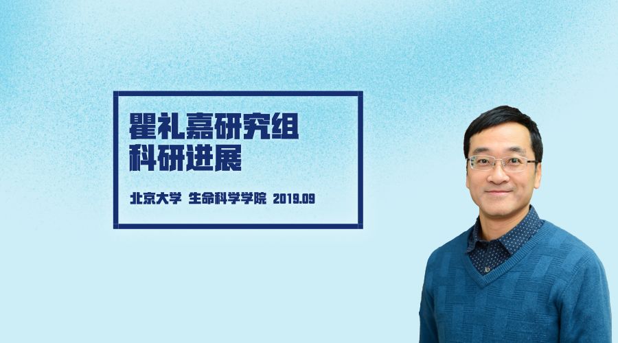 currentbiology瞿礼嘉课题组揭示拟南芥花粉管细胞完整性调控新机制