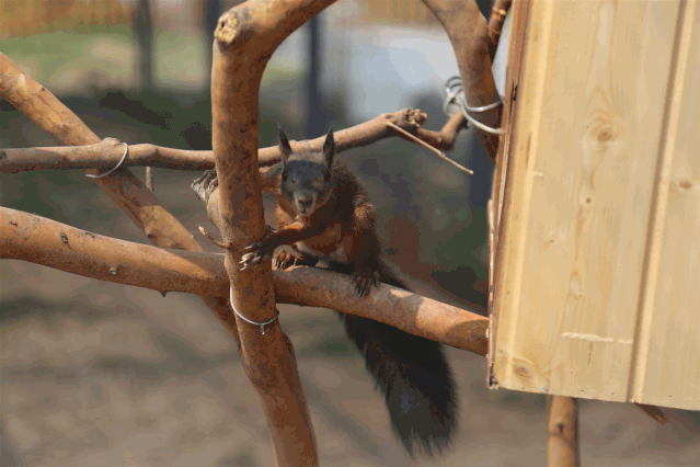 639_426gif 动态图 动图