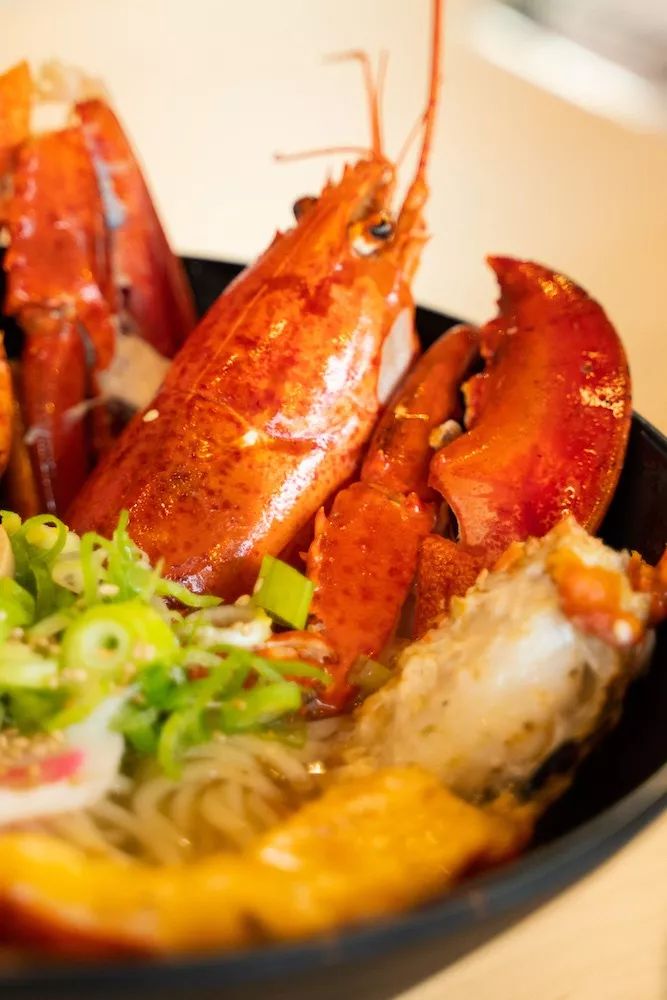 百年传承来自日本匠心拉面馆正式开业豚骨的汤手工的面历史悠久的工艺