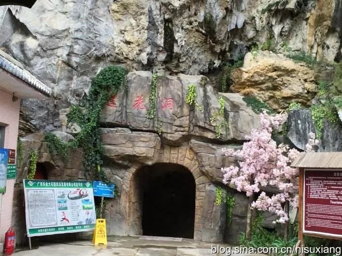 【国庆特惠】聚龙山 莲花洞68元一日游~含武安拽面