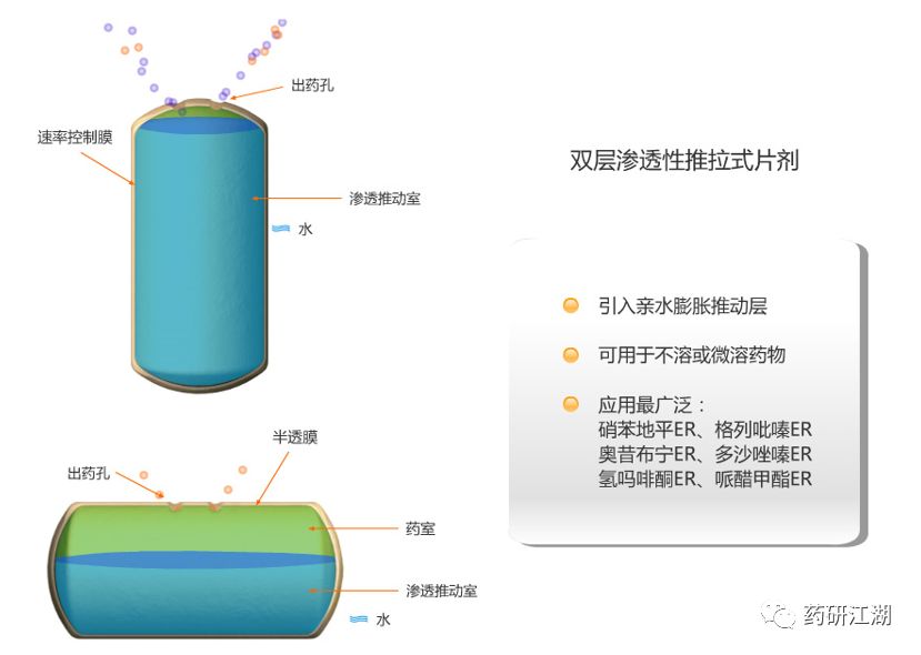 硝苯地平控释片(拜新同)崩解释药过程 作者:华西坝平下中农授权转自