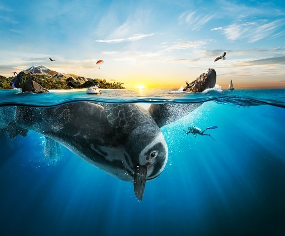 厄瓜多尔旅游局创意广告,海平面以下的真相是什么样的?