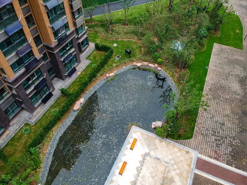 部分楼栋前的麋鹿溪谷景观了,而这仅仅只是一小部分,静静伫立在水岸