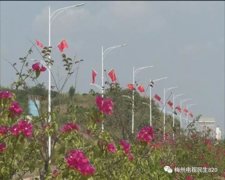 梅江区住房和城乡建设局 副局长 叶苑华:一是种植较有客家特色的时花