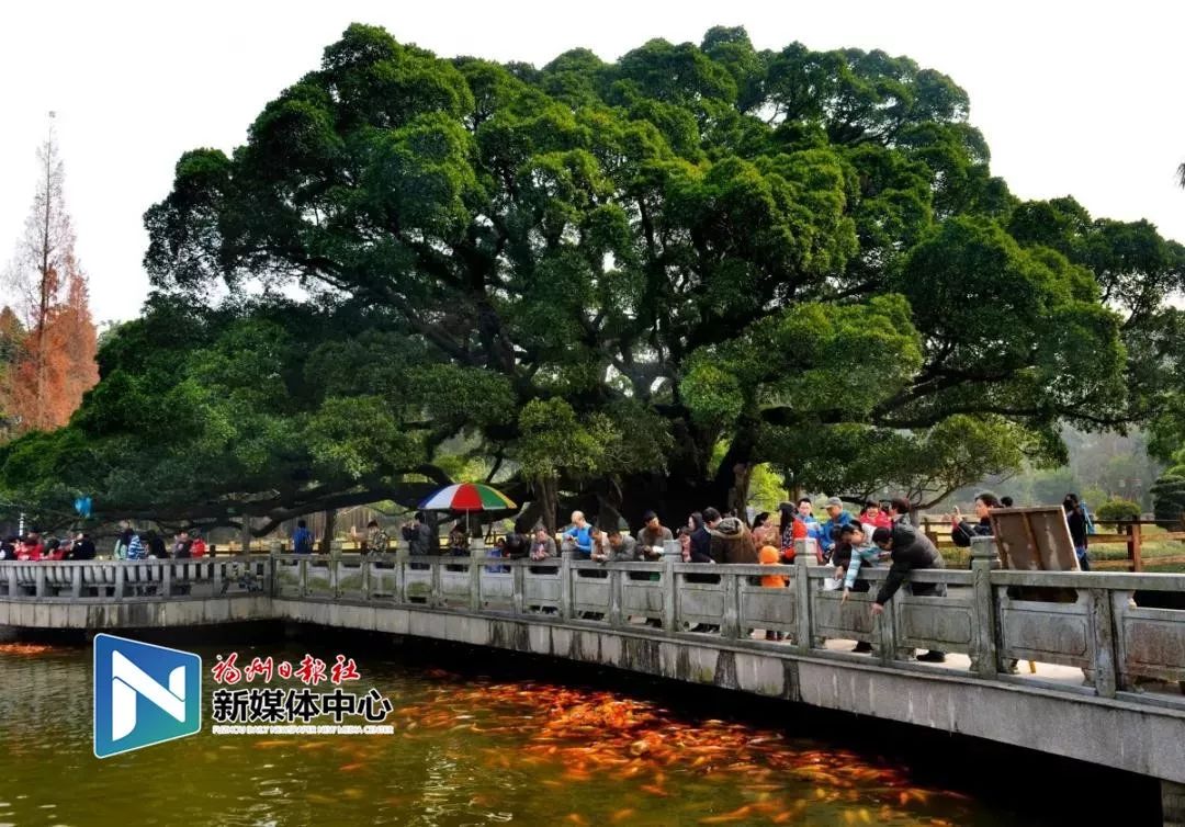 森林公園換裝全省最大花境景觀亮相蘇鐵園首次免費開放