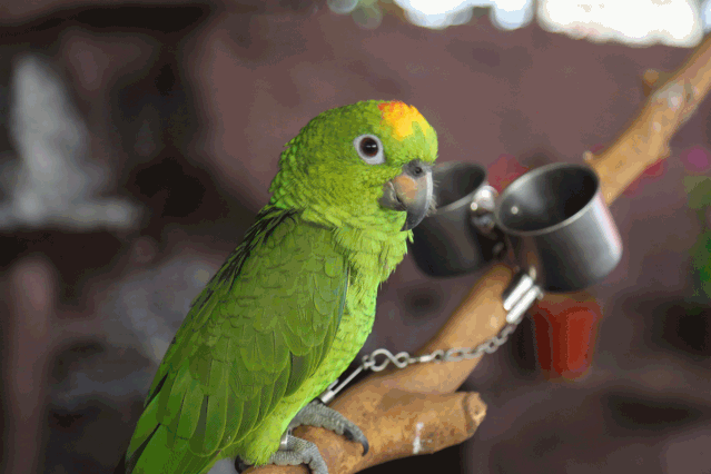 639_426gif 动态图 动图