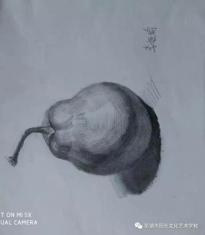 素描卡漫课堂万年青国画入门小雏菊石榴树漂亮的·海葵0102吹泡泡的