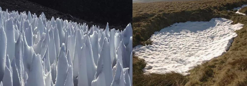 雪刺显示在左侧,太阳杯显示在右侧.