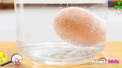 400_225gif 动态图 动图