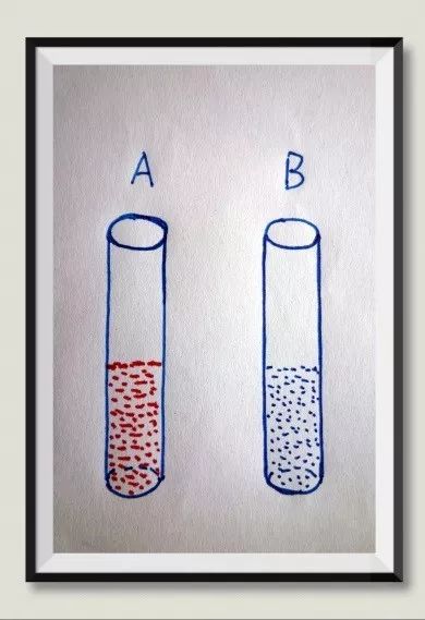 葵园博物第二十一期两心壶两种饮料一起喝